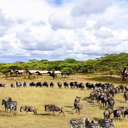 Africa Safari Serengeti Kusini 호텔 외부 사진