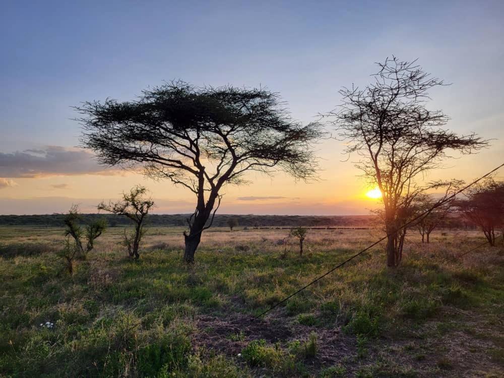 Africa Safari Serengeti Kusini 호텔 외부 사진