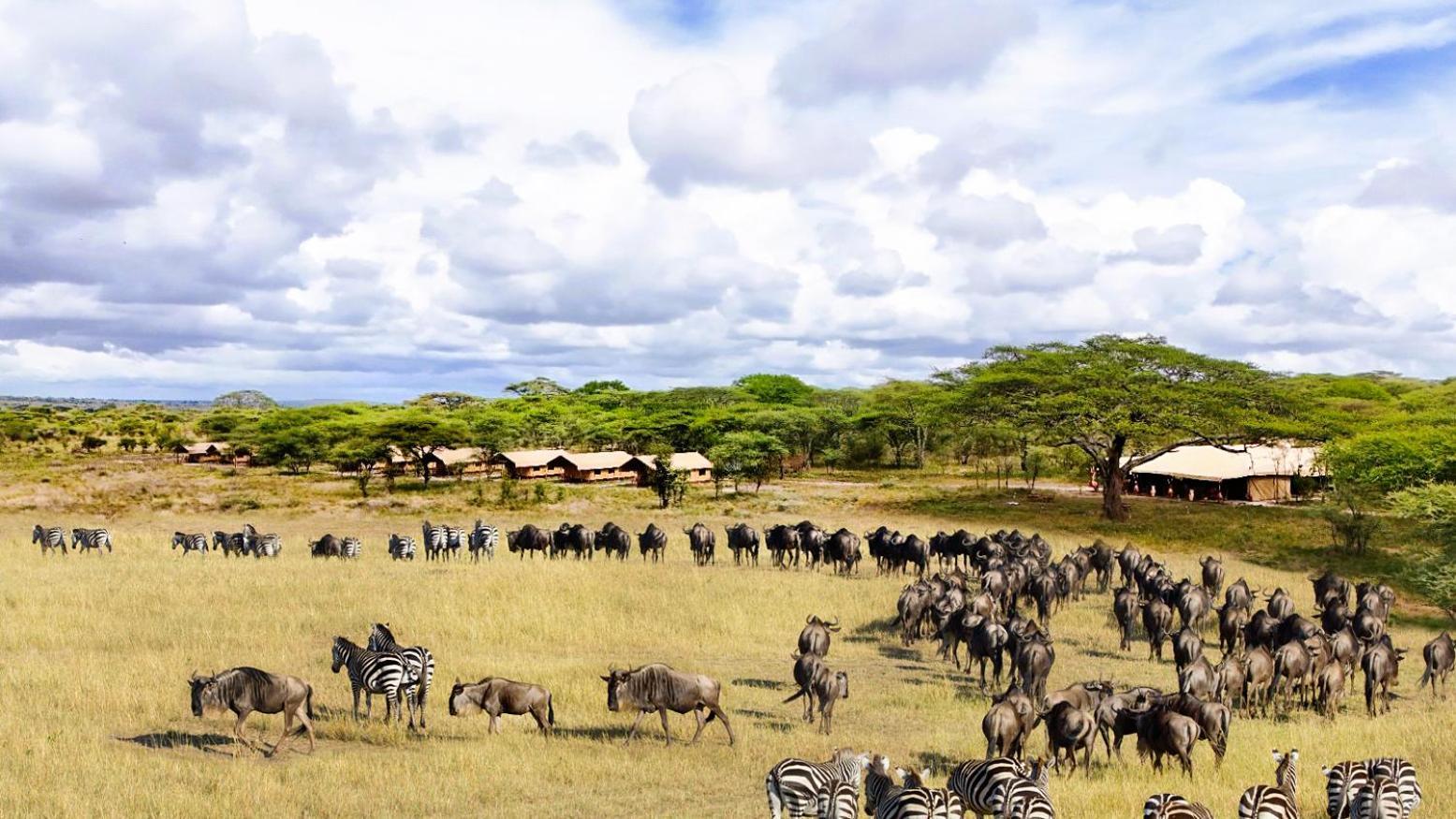 Africa Safari Serengeti Kusini 호텔 외부 사진