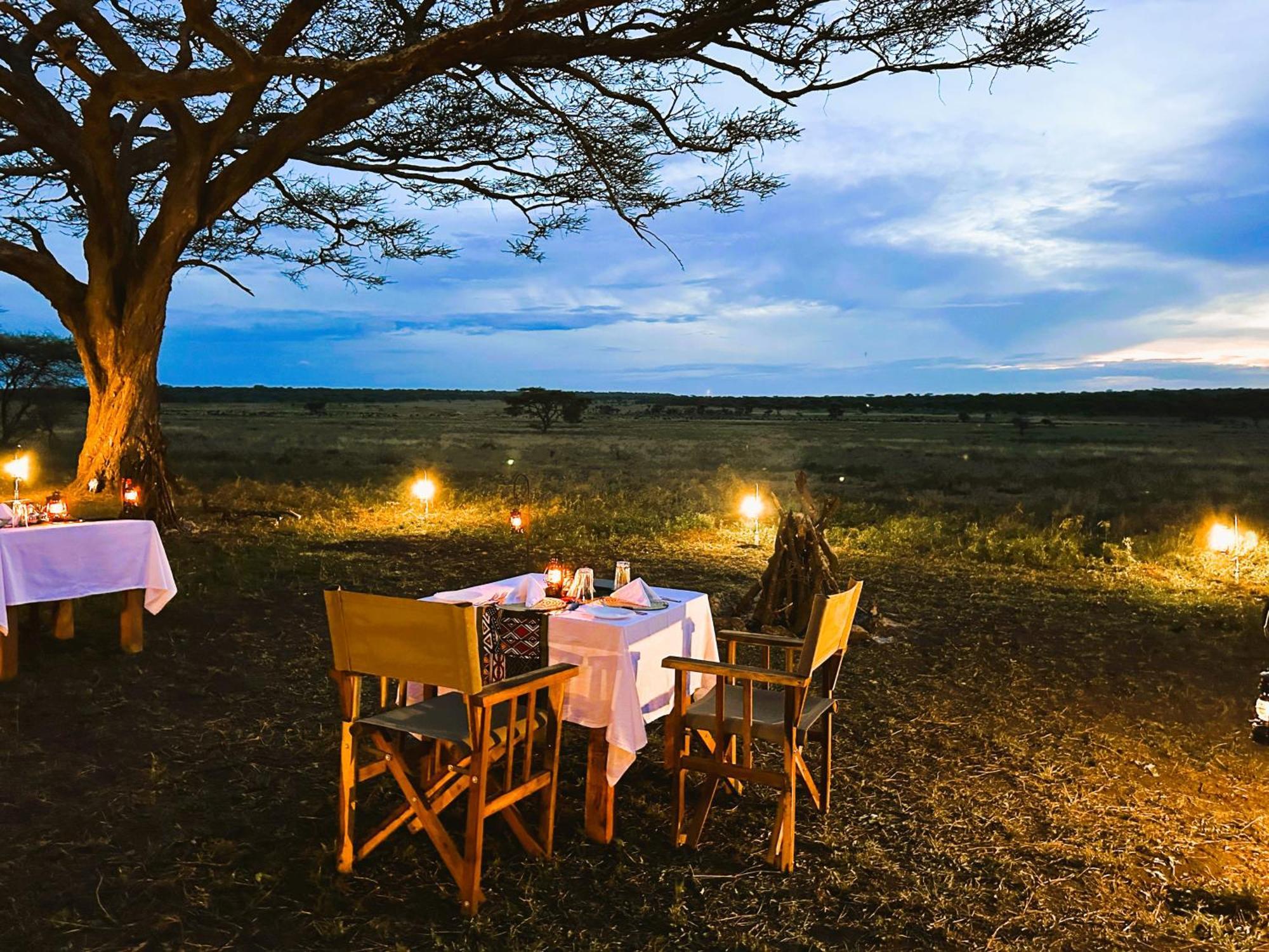 Africa Safari Serengeti Kusini 호텔 외부 사진