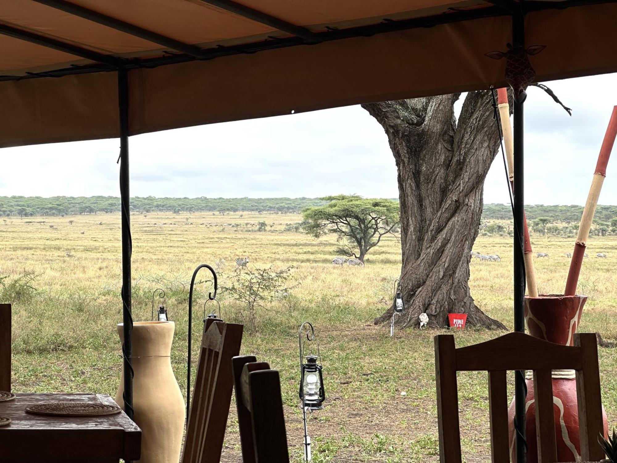 Africa Safari Serengeti Kusini 호텔 외부 사진