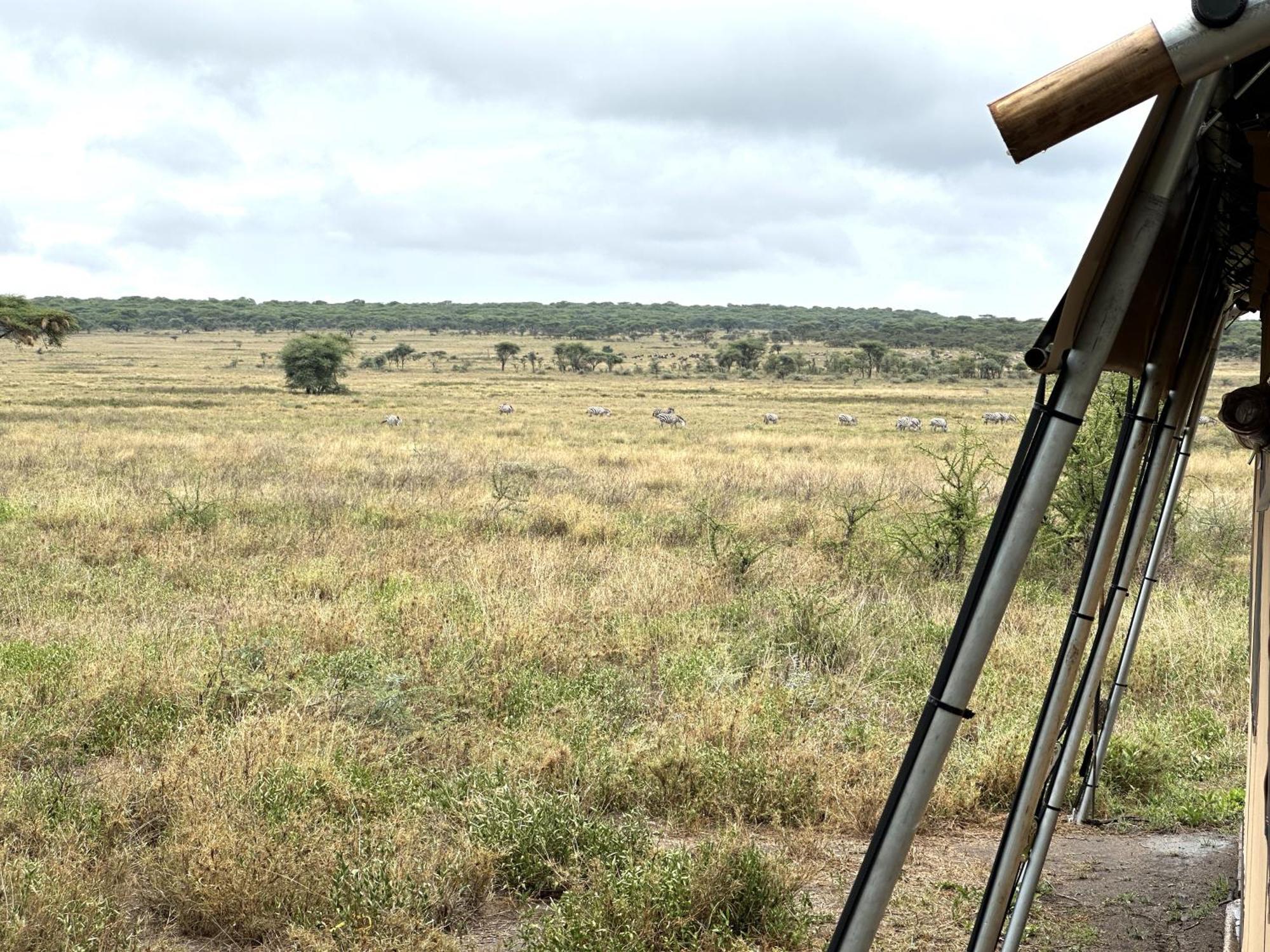 Africa Safari Serengeti Kusini 호텔 외부 사진