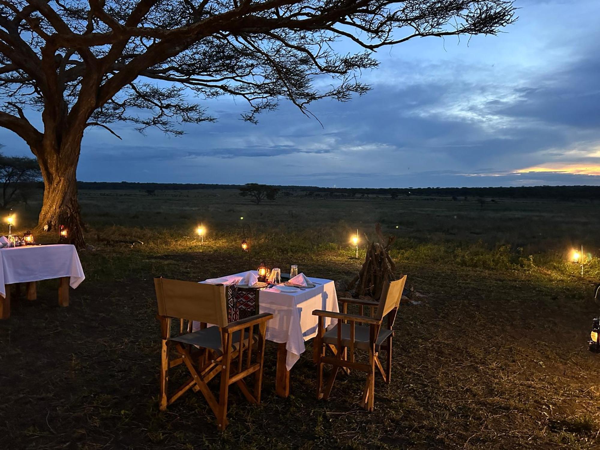 Africa Safari Serengeti Kusini 호텔 외부 사진