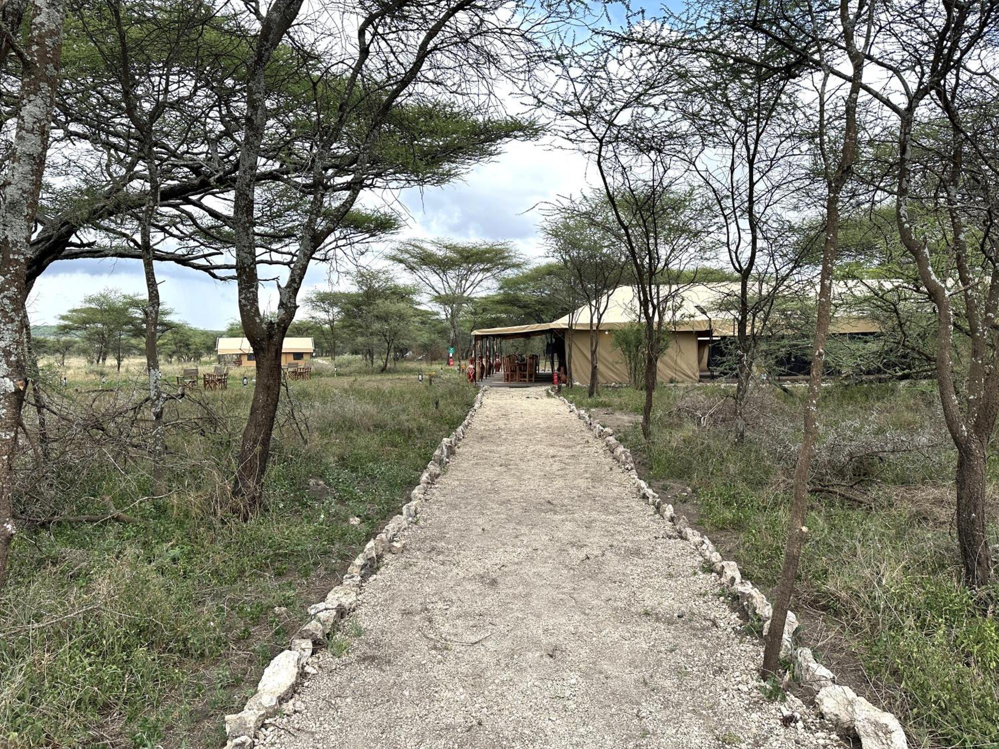 Africa Safari Serengeti Kusini 호텔 외부 사진