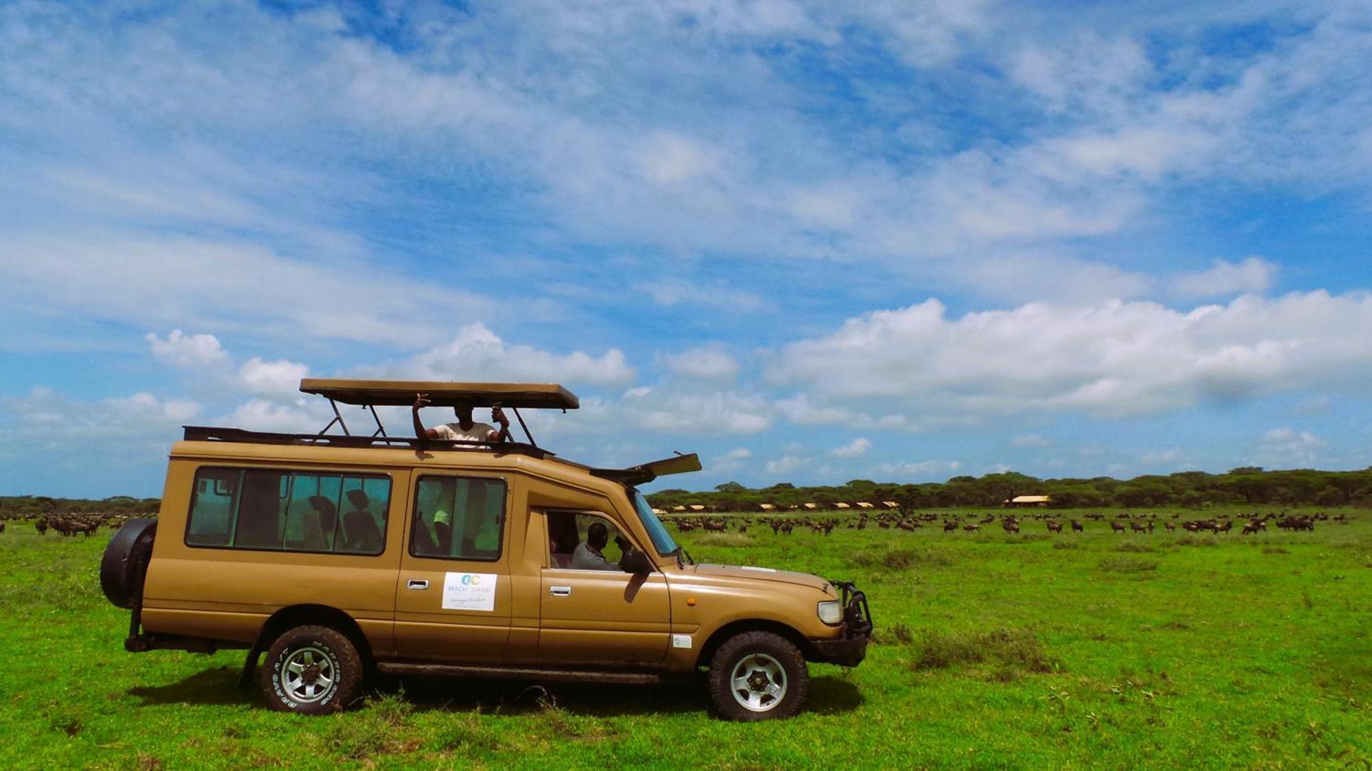 Africa Safari Serengeti Kusini 호텔 외부 사진