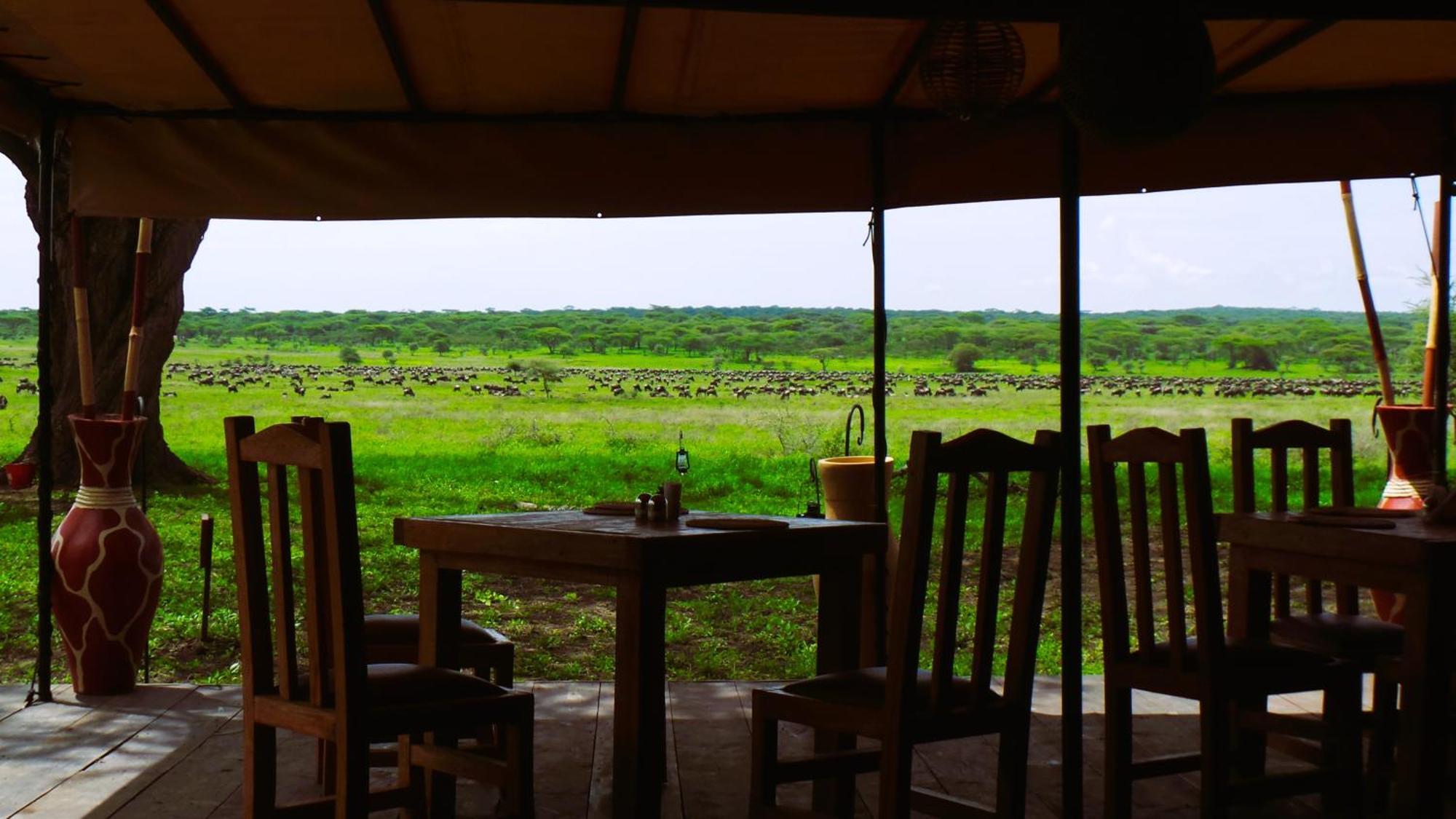 Africa Safari Serengeti Kusini 호텔 외부 사진